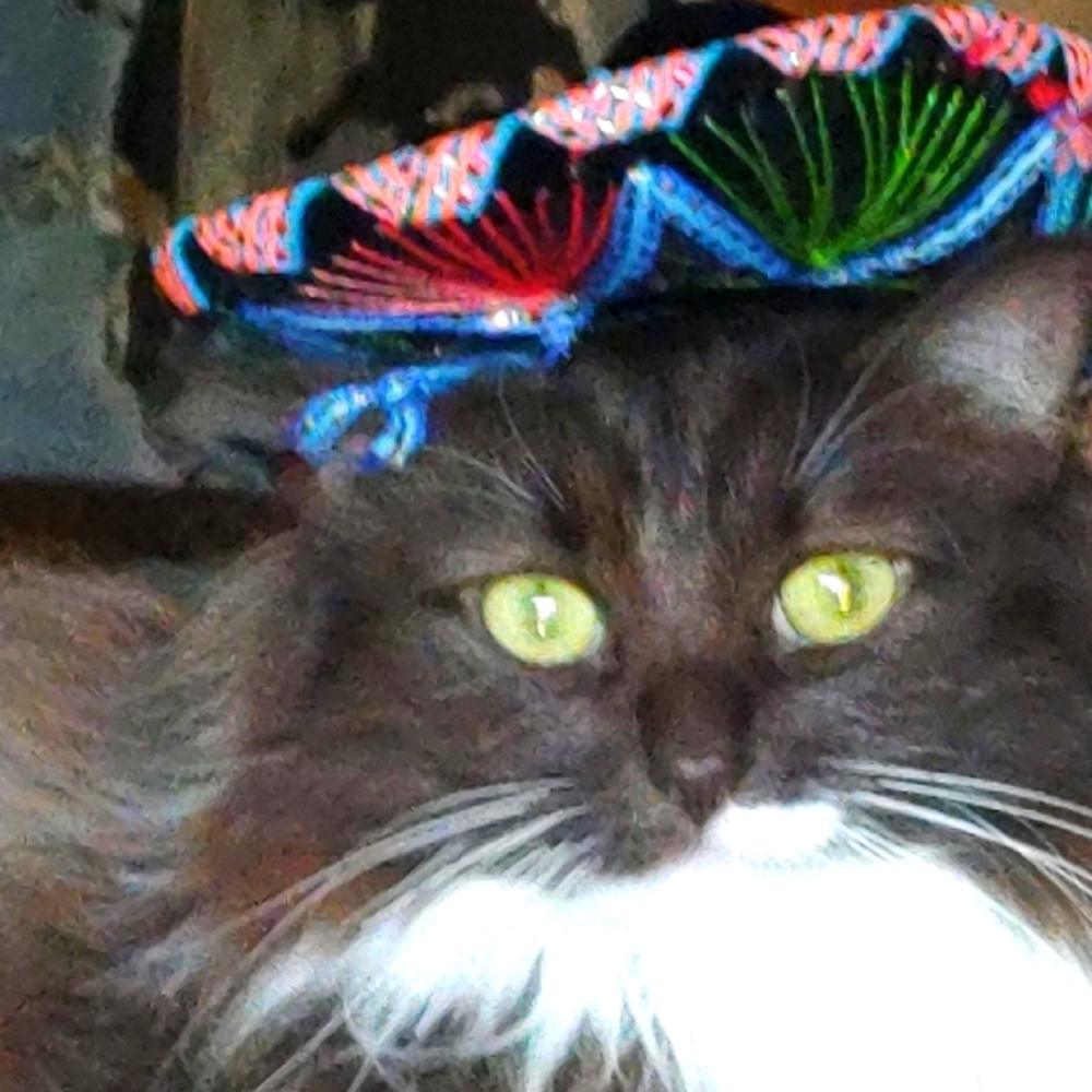 Pixilito Bandito and her sidekick sis Pickles